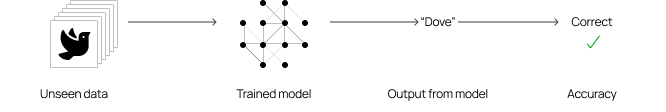 Diagram showing AI inference process: unseen data is input into a trained model, which outputs a correct prediction
