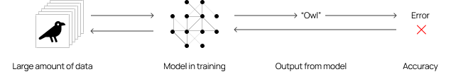 Illustration of AI model training process, showing how large data sets are used to iteratively improve model accuracy through output evaluation and error correction